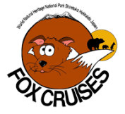 logo_fox